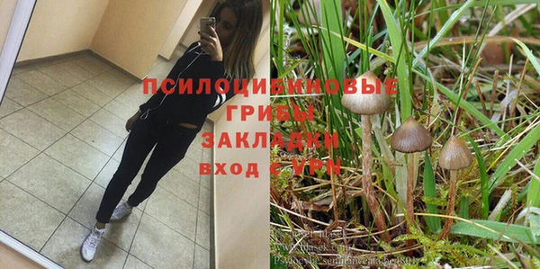 твердый Зеленодольск