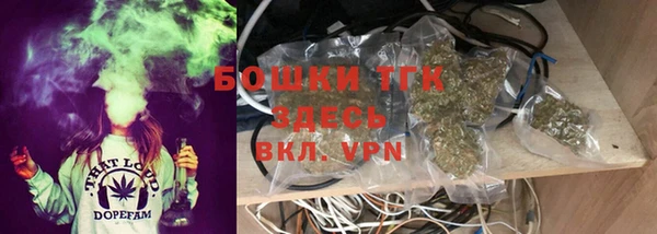 твердый Зеленодольск