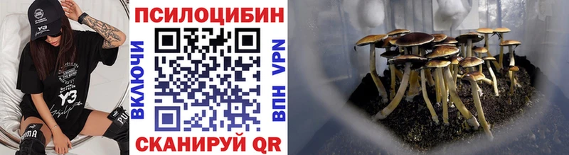 Галлюциногенные грибы Magic Shrooms  Купить  Мензелинск 